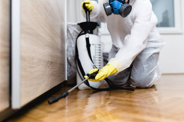 Pest Control Cost in South Browning, MT