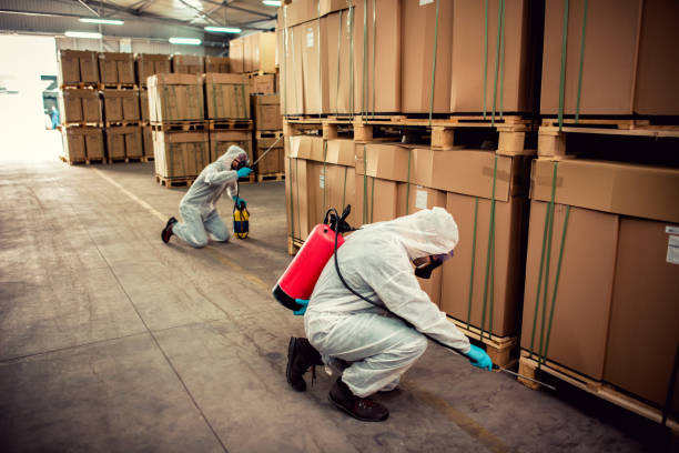 Best Residential Pest Control  in South Browning, MT