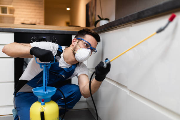 Best Residential Pest Control  in South Browning, MT