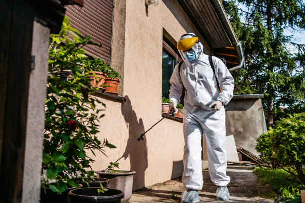 Best Bed Bug Extermination  in South Browning, MT
