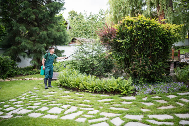 Best Pest Prevention Services  in South Browning, MT