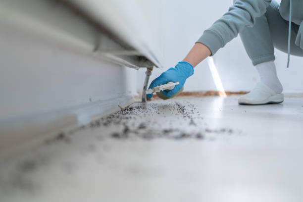 Best Local Pest Control Services  in South Browning, MT